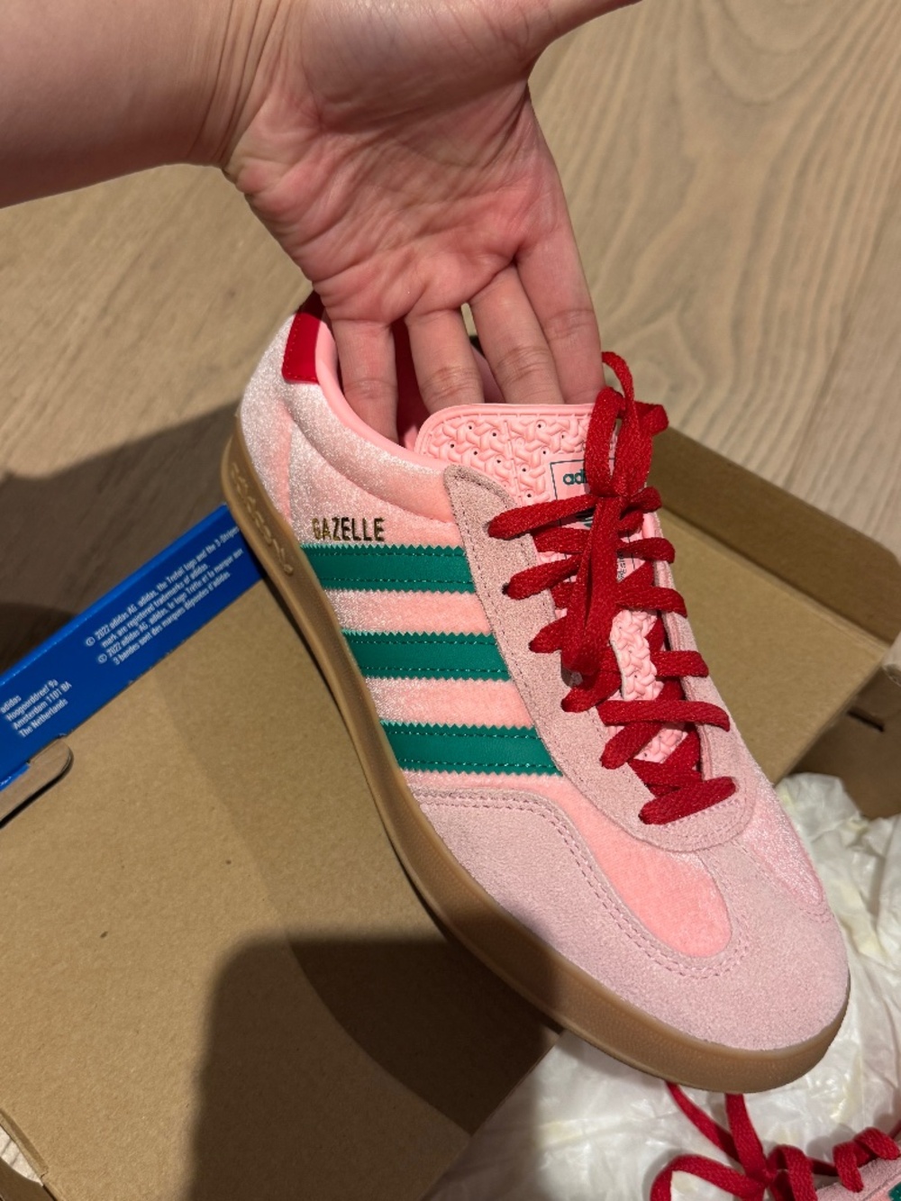 Gazelle indoor